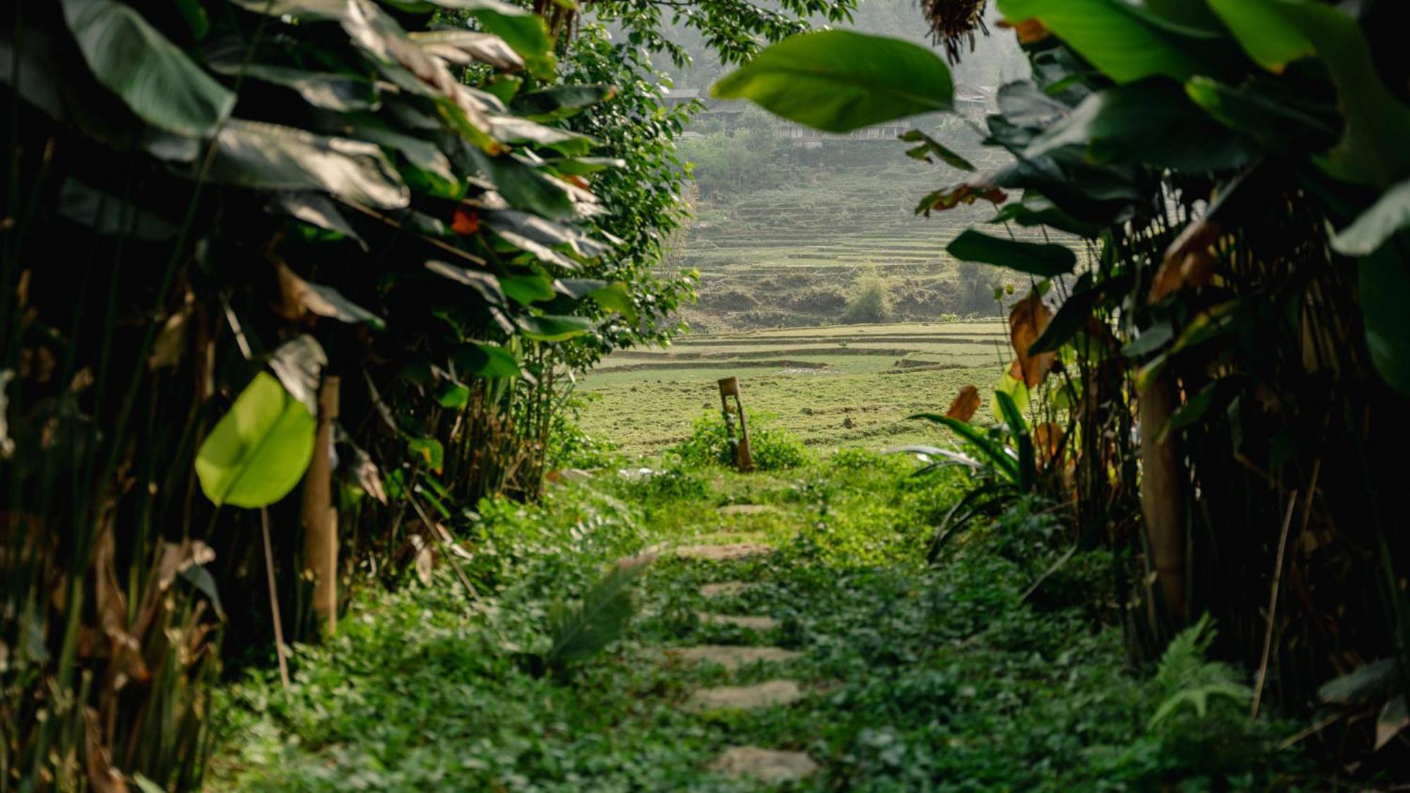 Privatunterkunft Eco Sapa